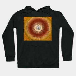 Tribal Circles -Gold Hoodie